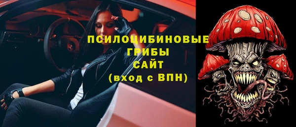 МДПВ Зеленодольск
